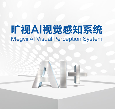 AI视觉识别系统